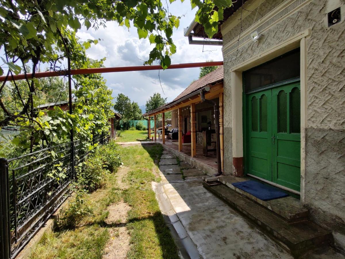 La Tataia Zahei Hotel Dragus Bagian luar foto