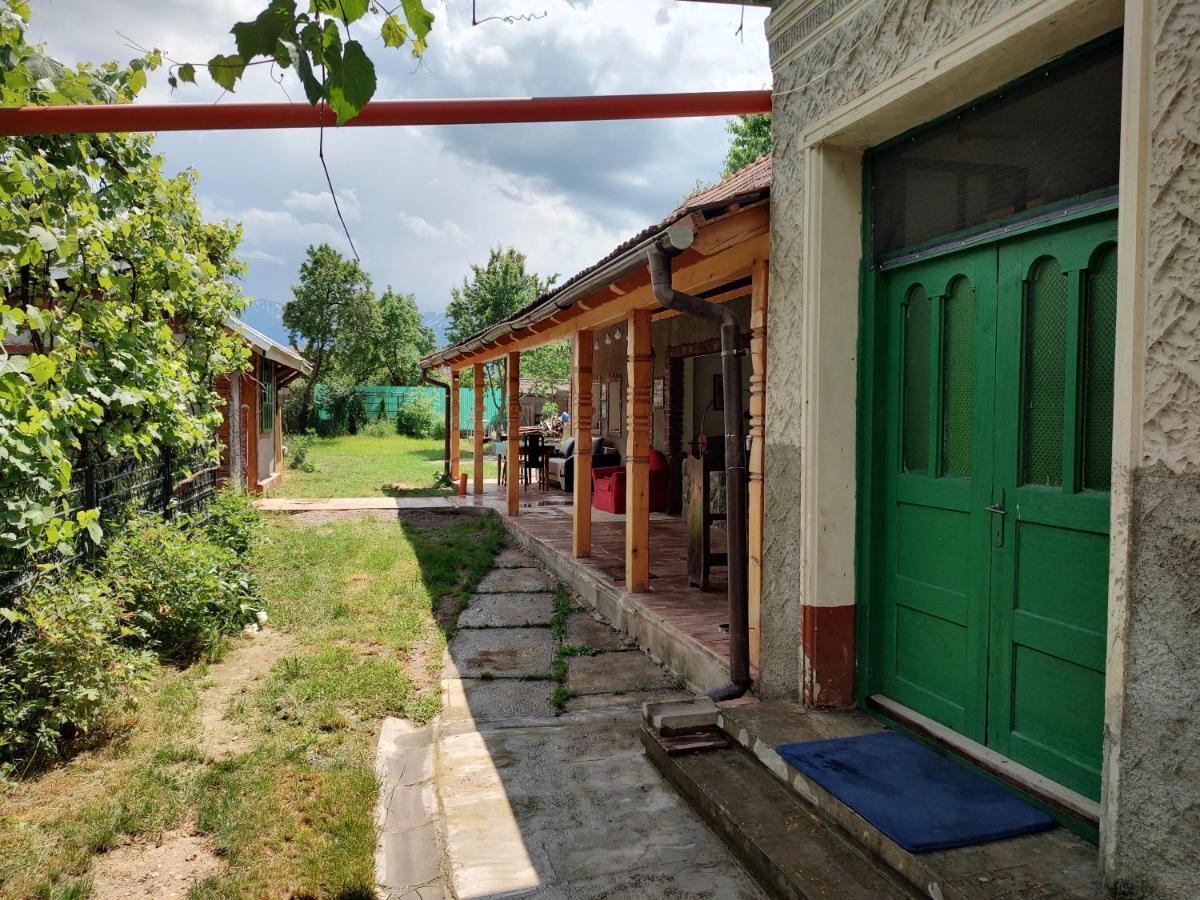 La Tataia Zahei Hotel Dragus Bagian luar foto