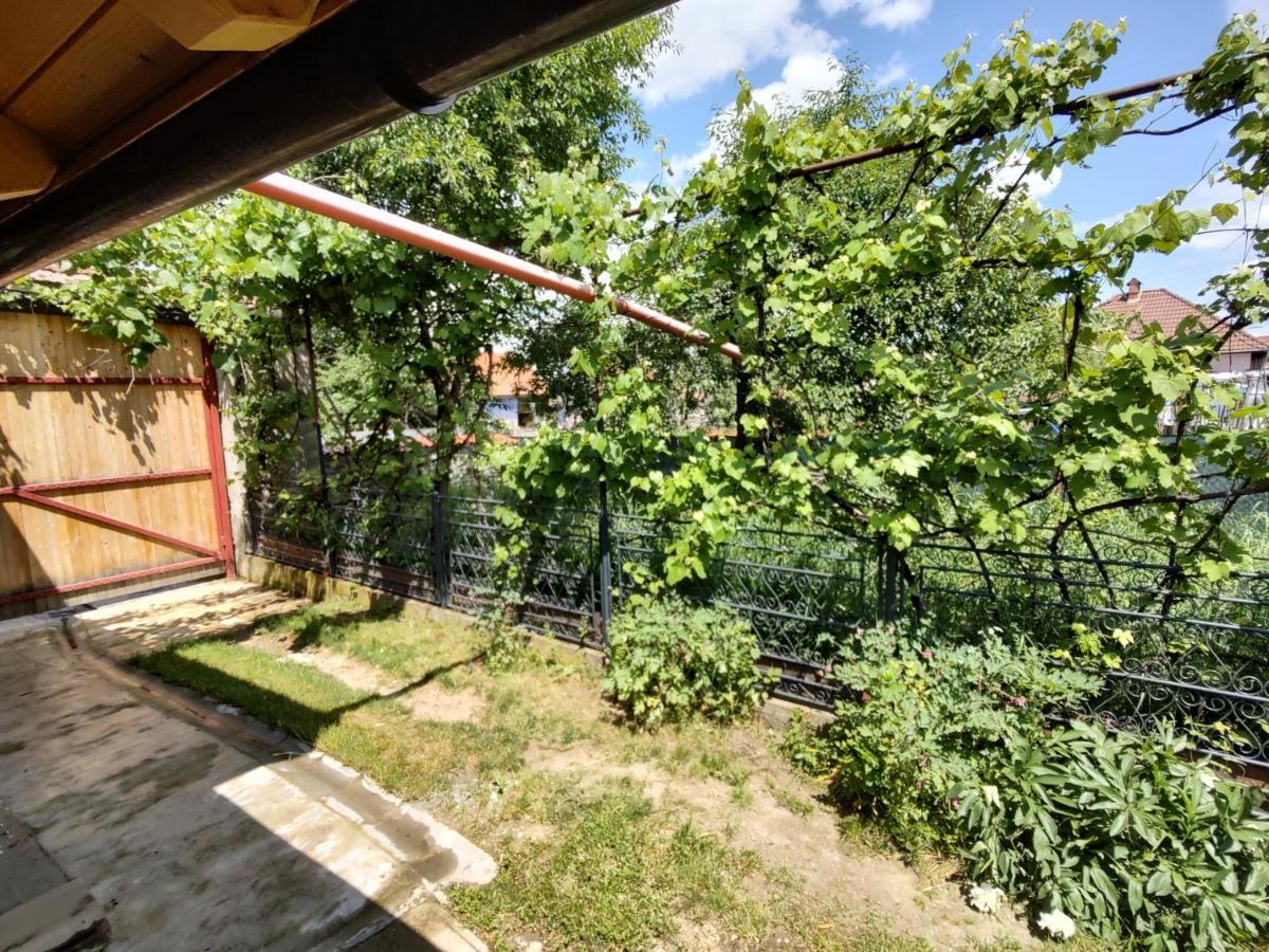 La Tataia Zahei Hotel Dragus Bagian luar foto