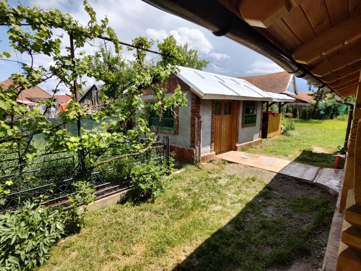 La Tataia Zahei Hotel Dragus Bagian luar foto